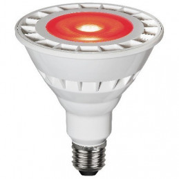 Star Trading LED-Lampe,...